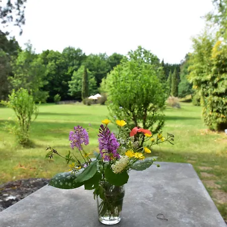 Feriehus Secluded Holdiay In Saint-cirq-madelon With Terrace In Luxury Of Nature